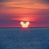 disableddisneymom