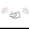 mohammadaldarwich