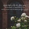 opw_109