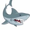 theshark240