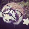 just_pxichy