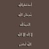 ilspaceil