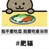 kkchong39