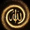 saadiaelhabib