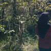 aryu_mlni