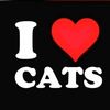 starz4catsy