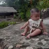 trang.1995.5991