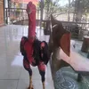 hoang.nguyen4907