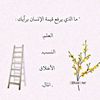 jamilashawi2