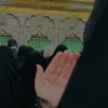 3vnno