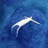 jjvv.75