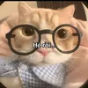 khanhthitheo123