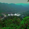 quynhngo011