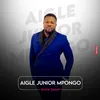 aiglejuniormpongo