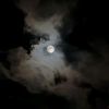 ayesha_5526