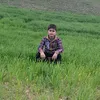 anas_halmat1