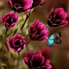 dysw9nkp3uiy