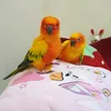 sunshinemoon135