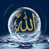 sana.assil8
