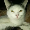 jakubmela