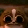 pipapipapupu