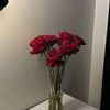 xxsalma_adboxx