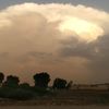 منوعات جنوبيه