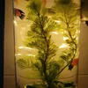 tinhtam_668