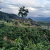 luzxi999
