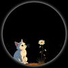 ieh8_hifu1258x4