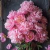 abeerkhaled87