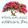 aalanzi44