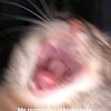 nwnkkkkk20