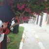 dodyah0