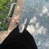 aprndbys