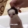armaoxi