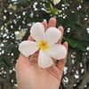 ahona2650