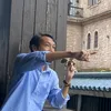 lehuubinh5