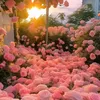 bee_haydoi_0