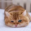user5ug96y1v7q