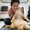 meaw002523meawmeaw