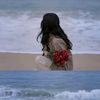 _safir_001
