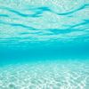 calmwater88