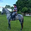 gilvando00