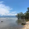 yen.ngoc284