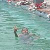 laven17_8