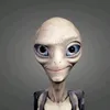 norvejskiy_pes2
