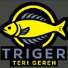 trigers00