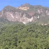 user06102020_06042021