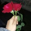 azadmolla1142